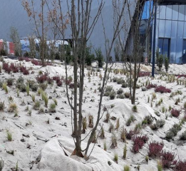 Toile de paillage "LONGPROTECT 450" / rouleau 0.88m x 50m / Unité