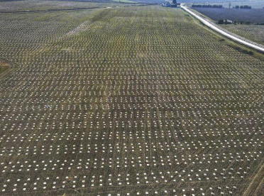 Dalles de paillage Carrées "Longprotect" fendues / Lot