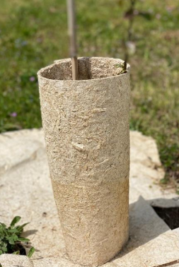 Accessoire Manchons : Tuteur Bambou / Botte de 500 unités